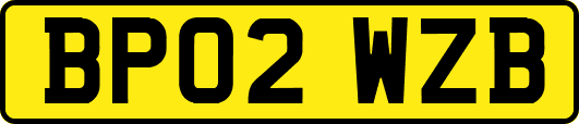 BP02WZB