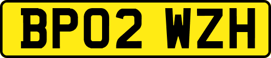 BP02WZH