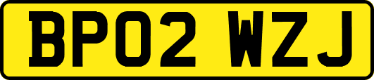 BP02WZJ