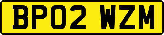 BP02WZM