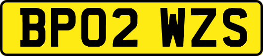 BP02WZS