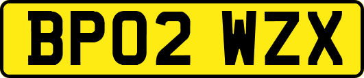 BP02WZX