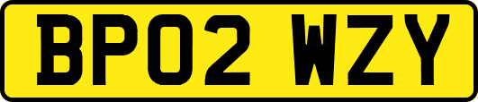 BP02WZY