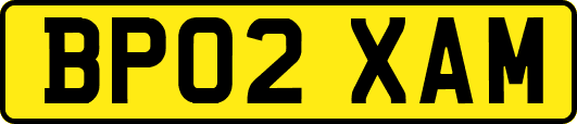 BP02XAM