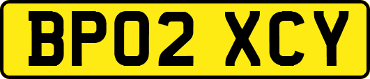 BP02XCY