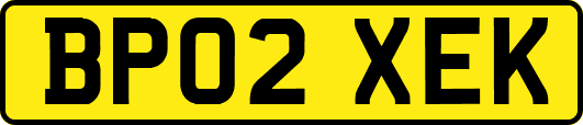 BP02XEK