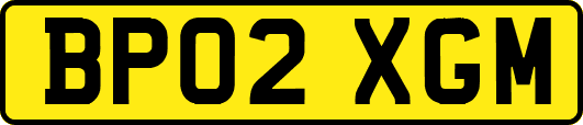 BP02XGM