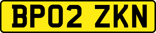 BP02ZKN