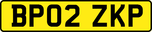 BP02ZKP