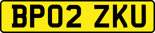 BP02ZKU