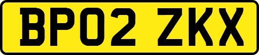 BP02ZKX