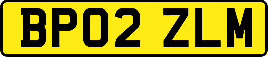BP02ZLM