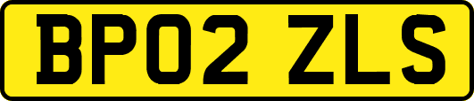 BP02ZLS