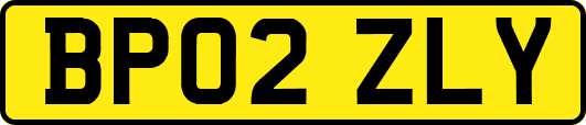 BP02ZLY