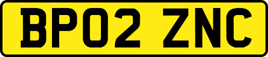 BP02ZNC
