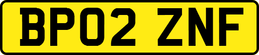 BP02ZNF