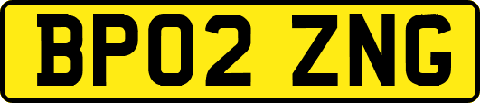 BP02ZNG