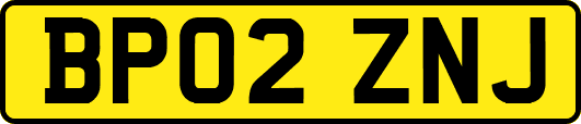 BP02ZNJ