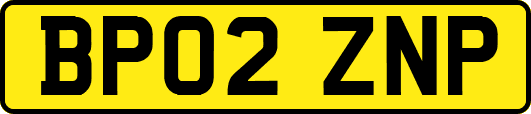 BP02ZNP