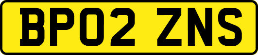 BP02ZNS