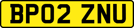 BP02ZNU