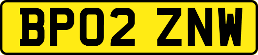 BP02ZNW