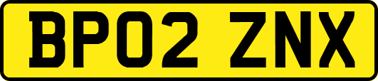 BP02ZNX