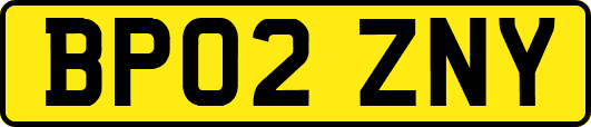 BP02ZNY
