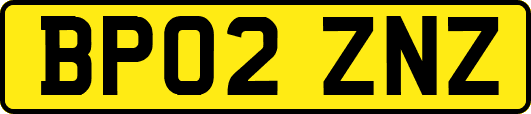 BP02ZNZ