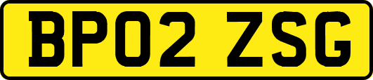 BP02ZSG