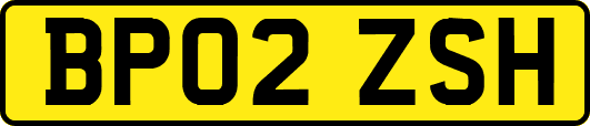 BP02ZSH