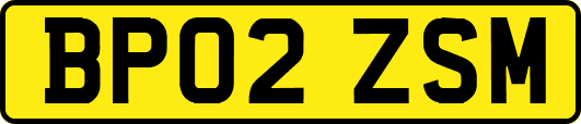 BP02ZSM