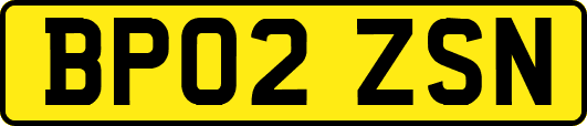 BP02ZSN