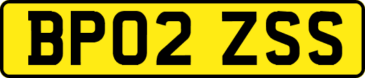 BP02ZSS