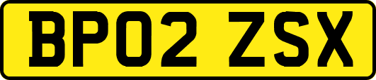 BP02ZSX