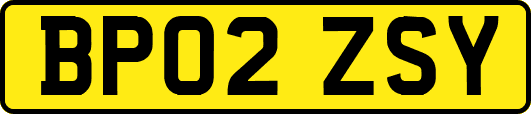 BP02ZSY