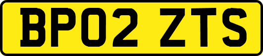 BP02ZTS