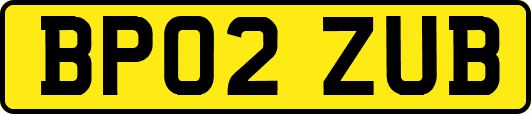 BP02ZUB