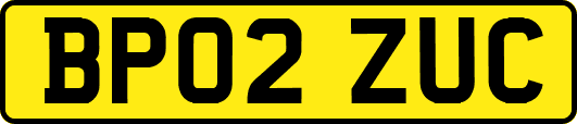 BP02ZUC