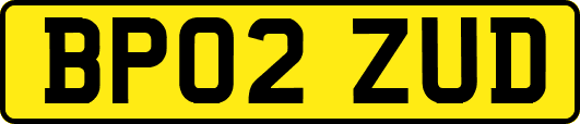 BP02ZUD