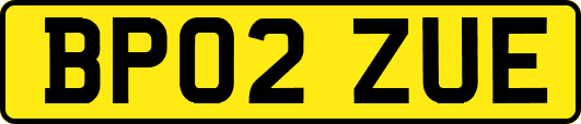 BP02ZUE