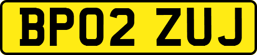 BP02ZUJ