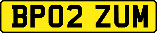 BP02ZUM
