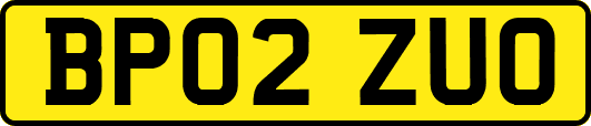 BP02ZUO