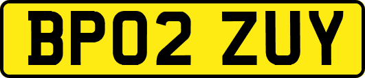 BP02ZUY