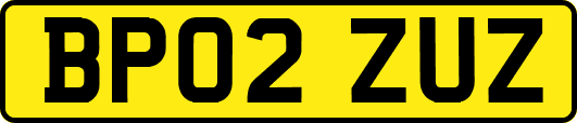 BP02ZUZ
