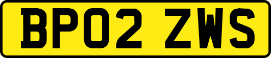BP02ZWS