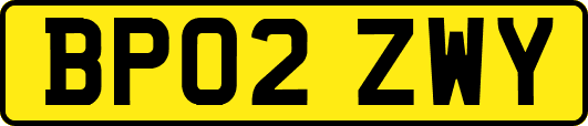 BP02ZWY