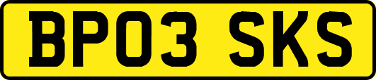 BP03SKS