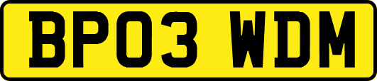 BP03WDM